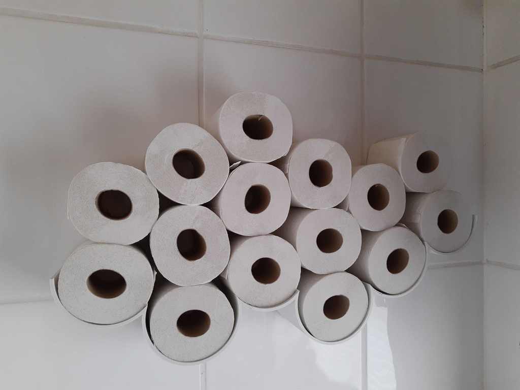 Toilet Paper Cloud