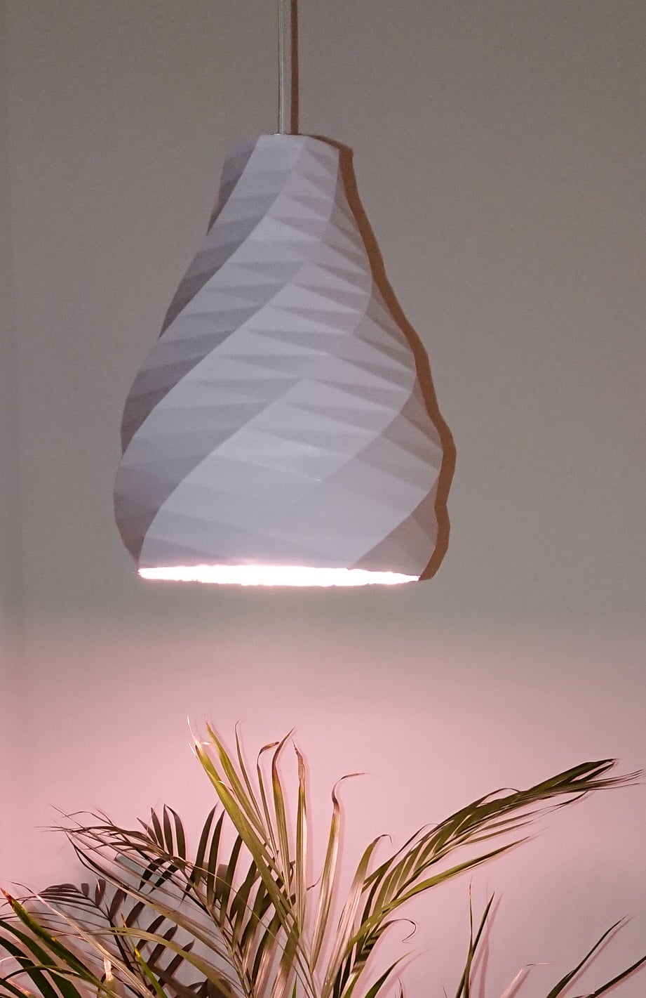 The Lamp Shade