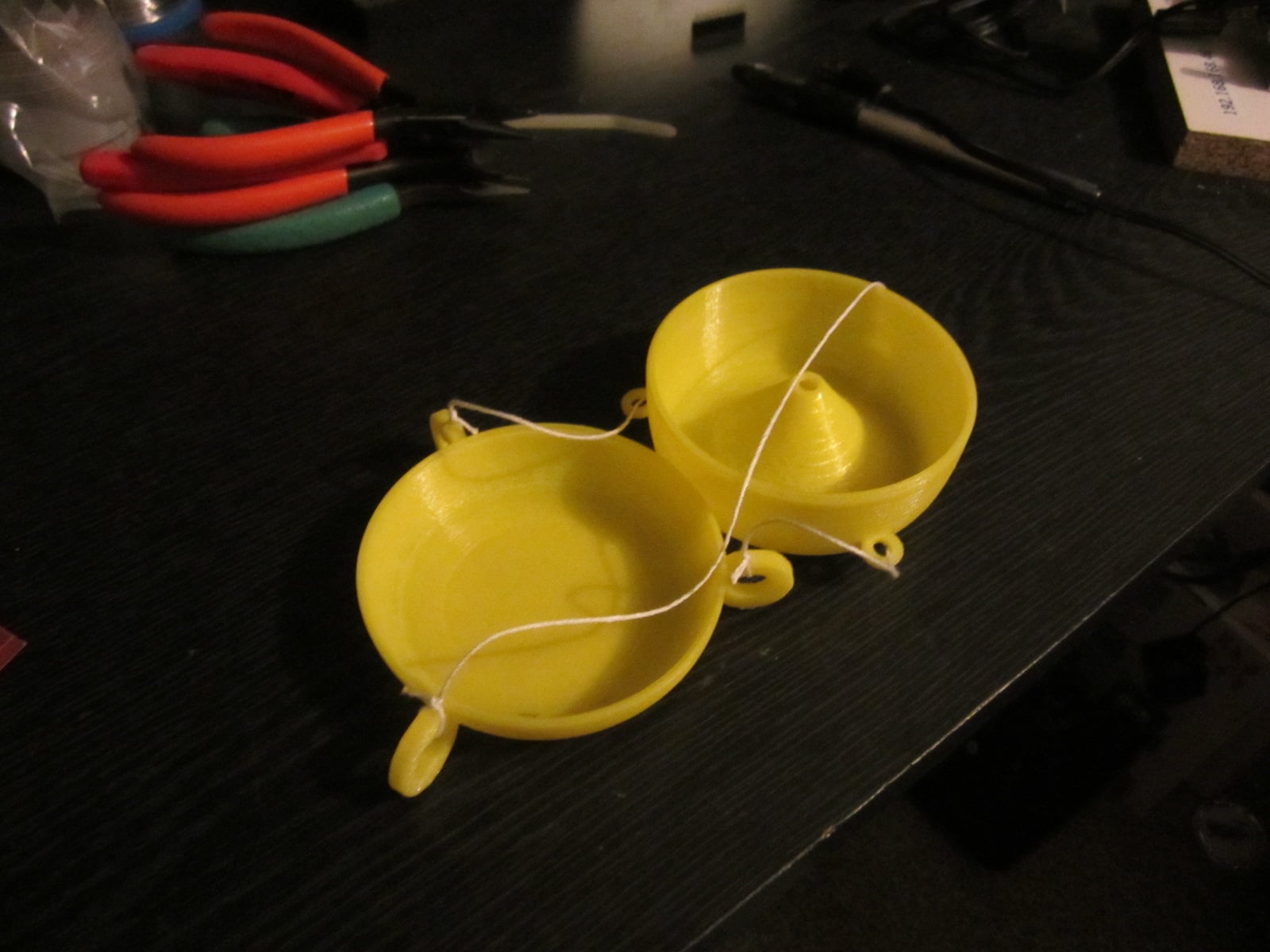 Fruit Fly Trap
