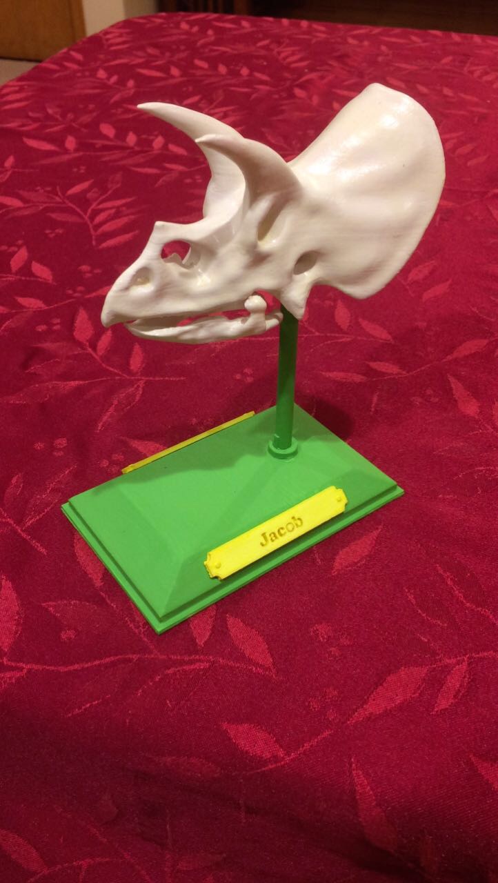 Triceratops Skull Model (With Custom Name Plate)