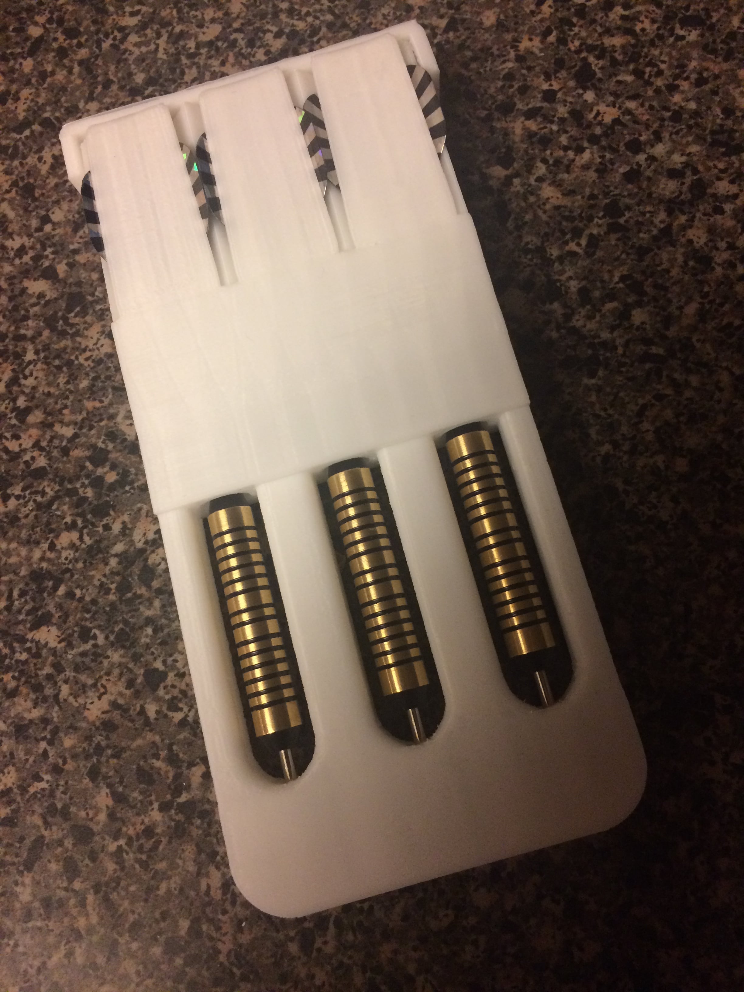 Dart Case for Larger Grips