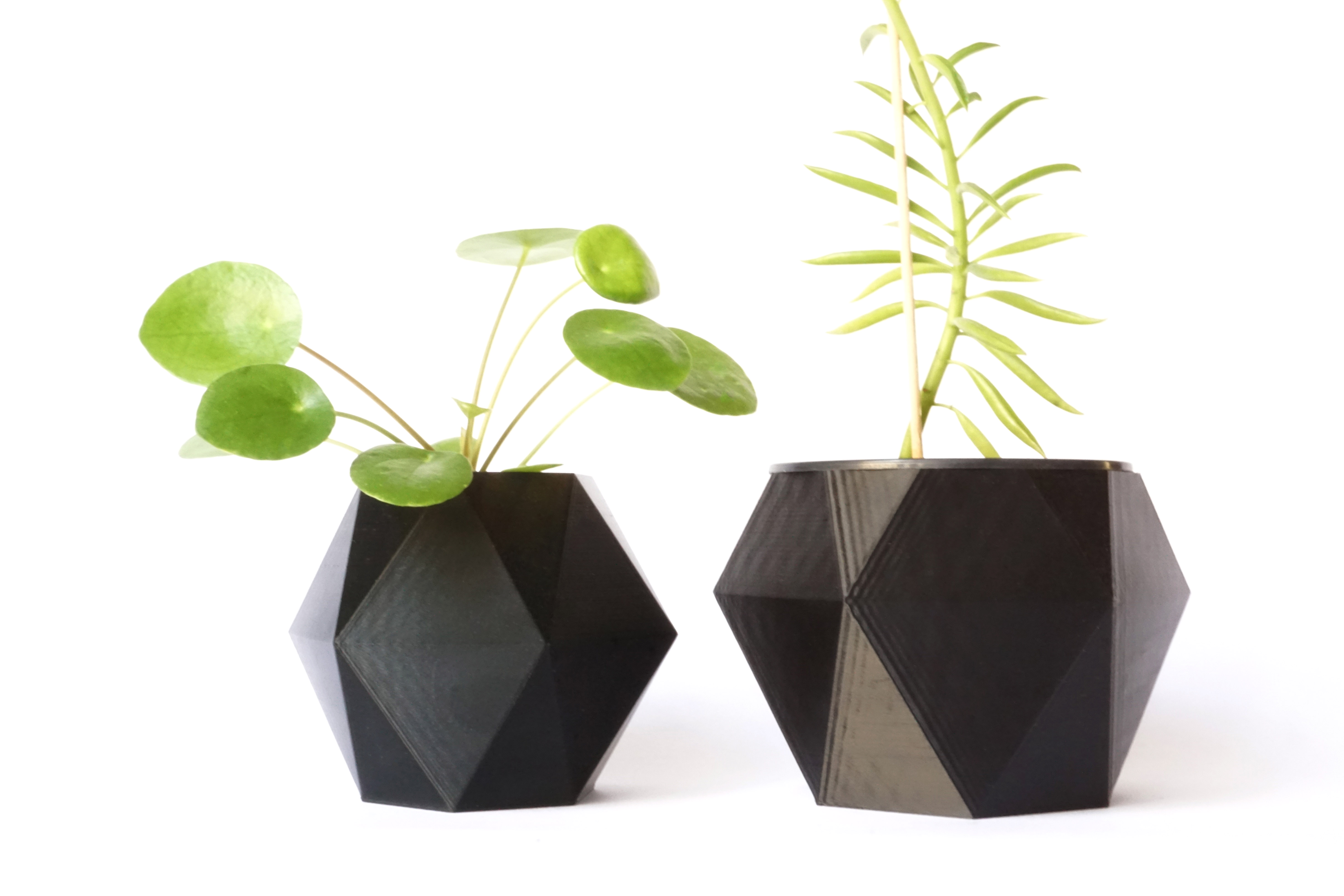 Hexagonal flower pot #4