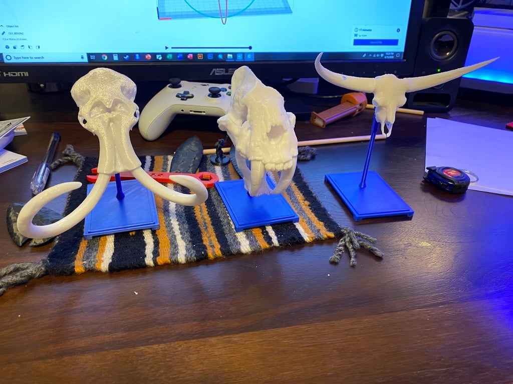 Modified stand for animal skulls (Mammoth skull, Bison latifrons, etc.)