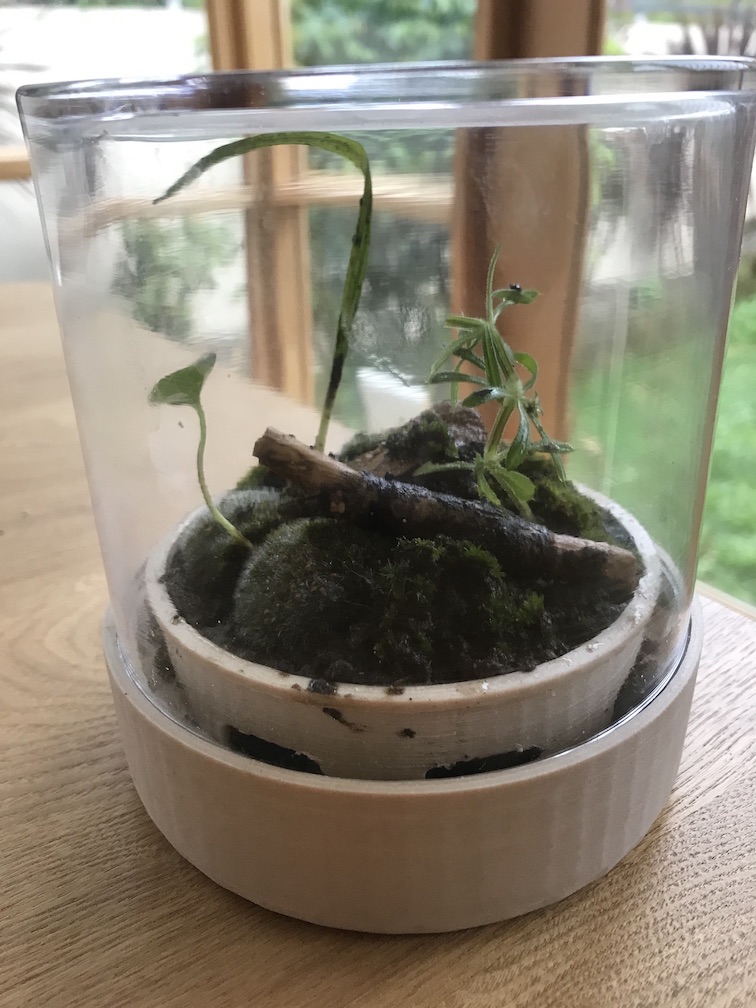 Terrarium Base