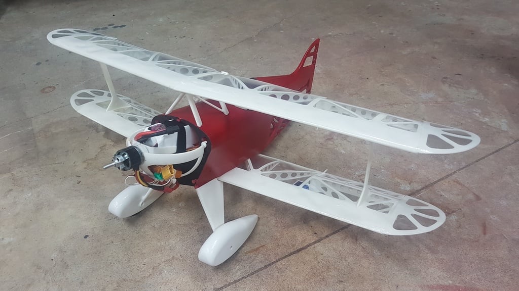 Pitts special RC Plane 
