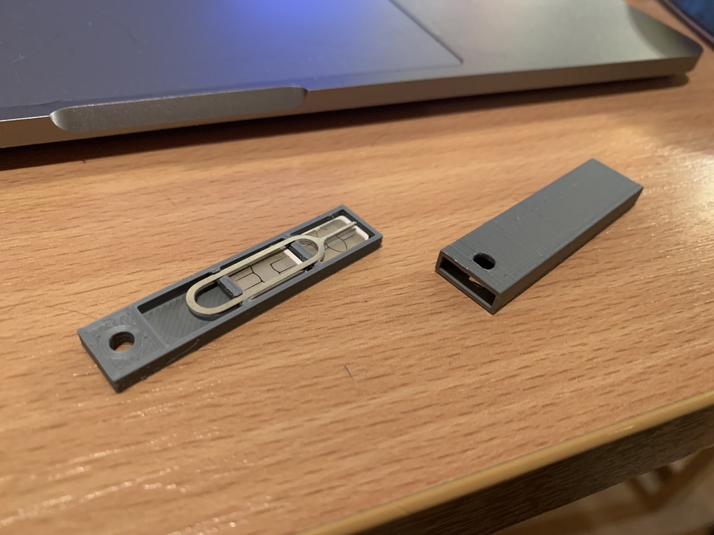 Sim and tool holder for keychain