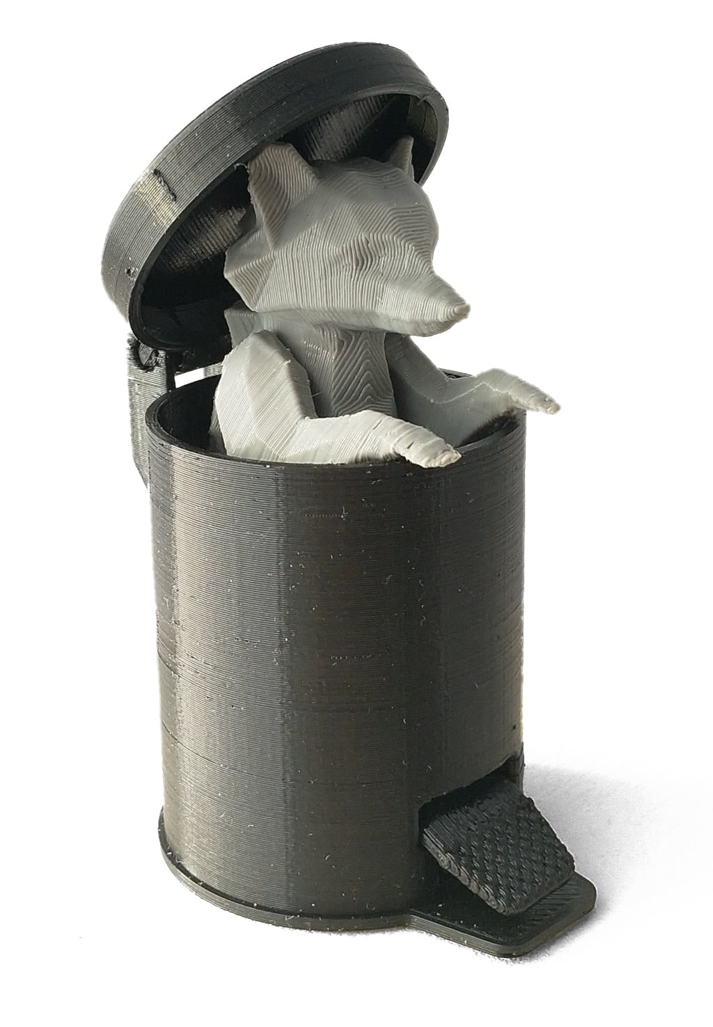 Raccoon in Pedal Bin