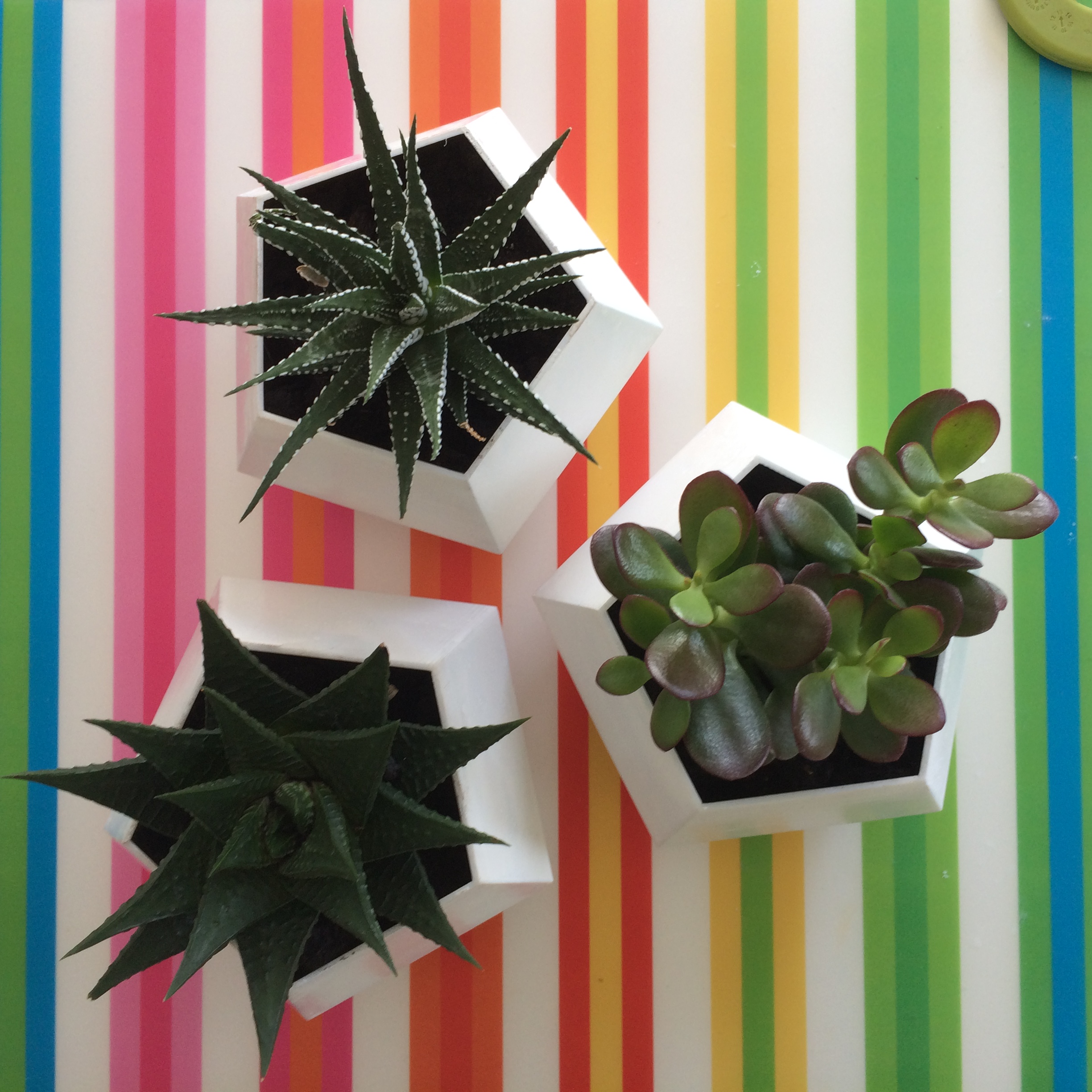 Geometric flower planter