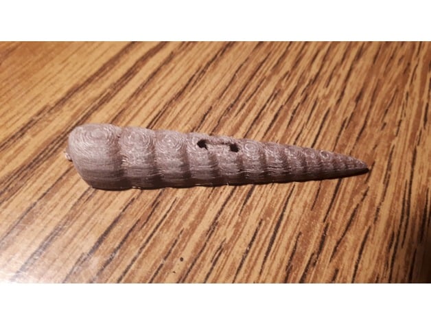 Button Long Snail Shell Parametric 5Cm