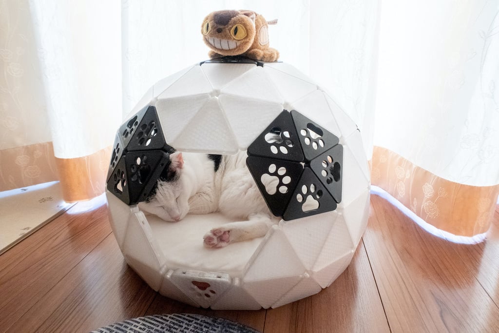 Geodesic Dome Cat House