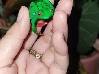 Miniatura 3 do modelo 3D Tree Frog Ring