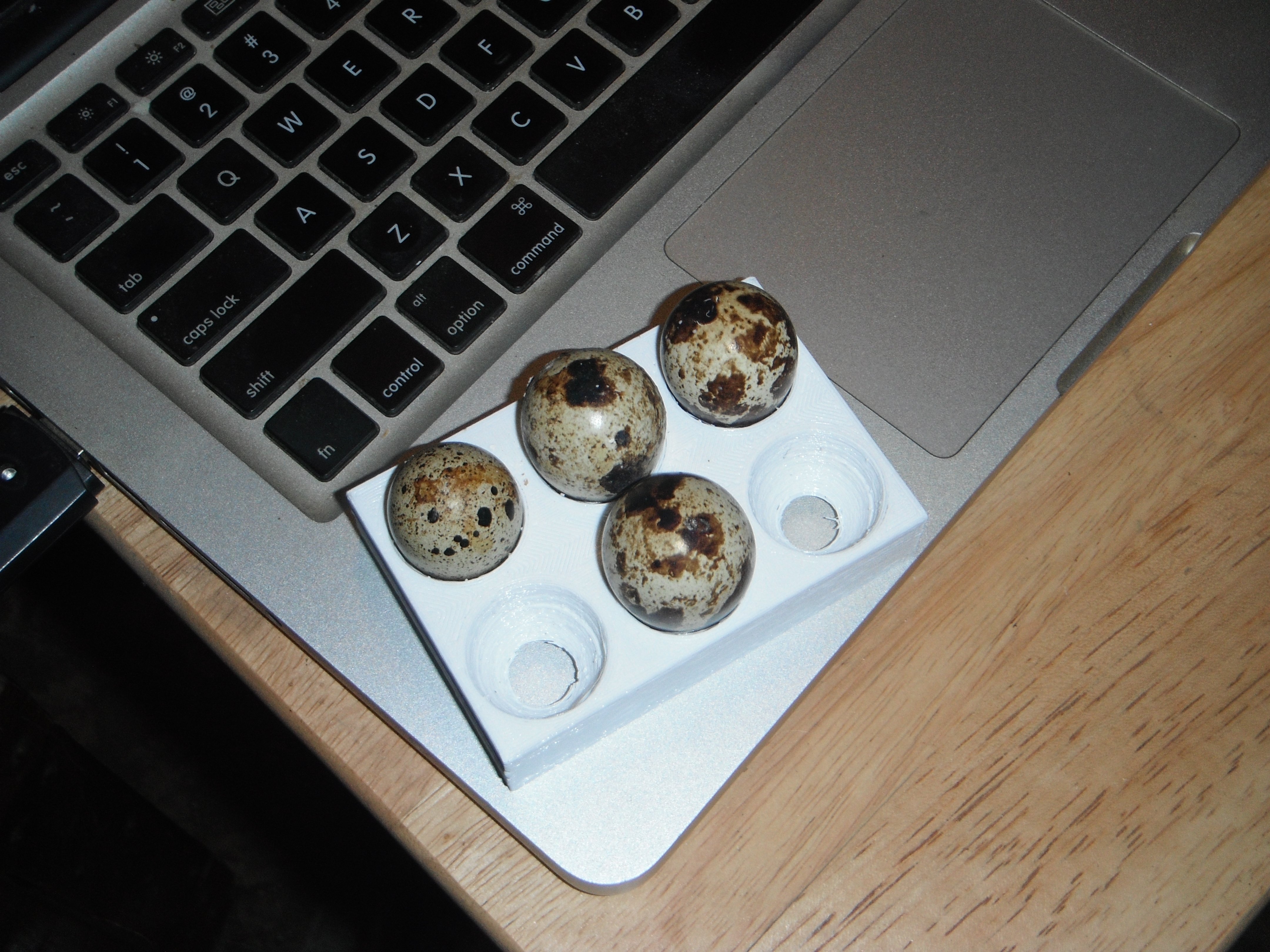 Quail Egg Cradle