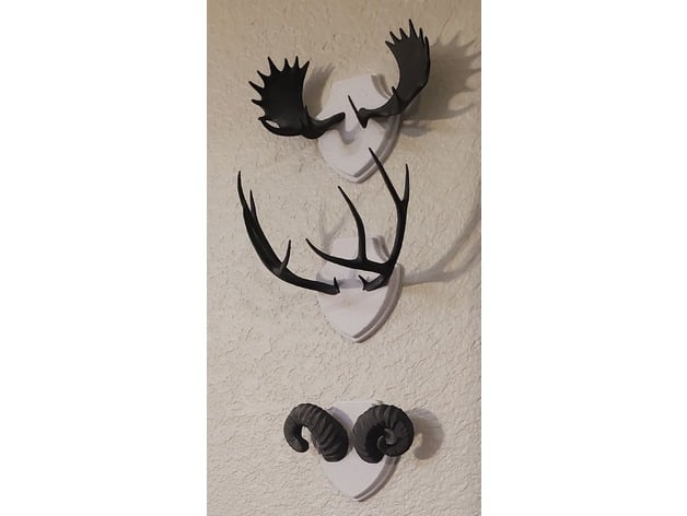 Antler And Horn Mounts