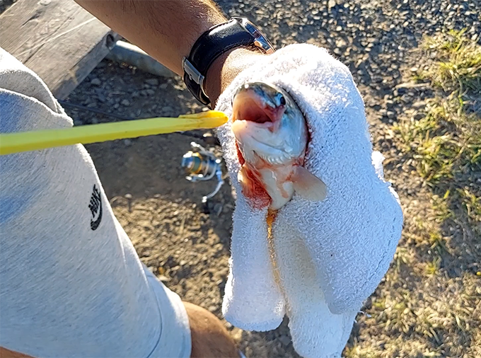 Fishing Hook Remover