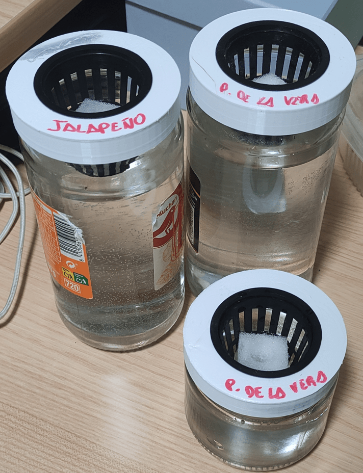 2" Net Pot Mason Jar Adapter  - Hydroponic - Kratky