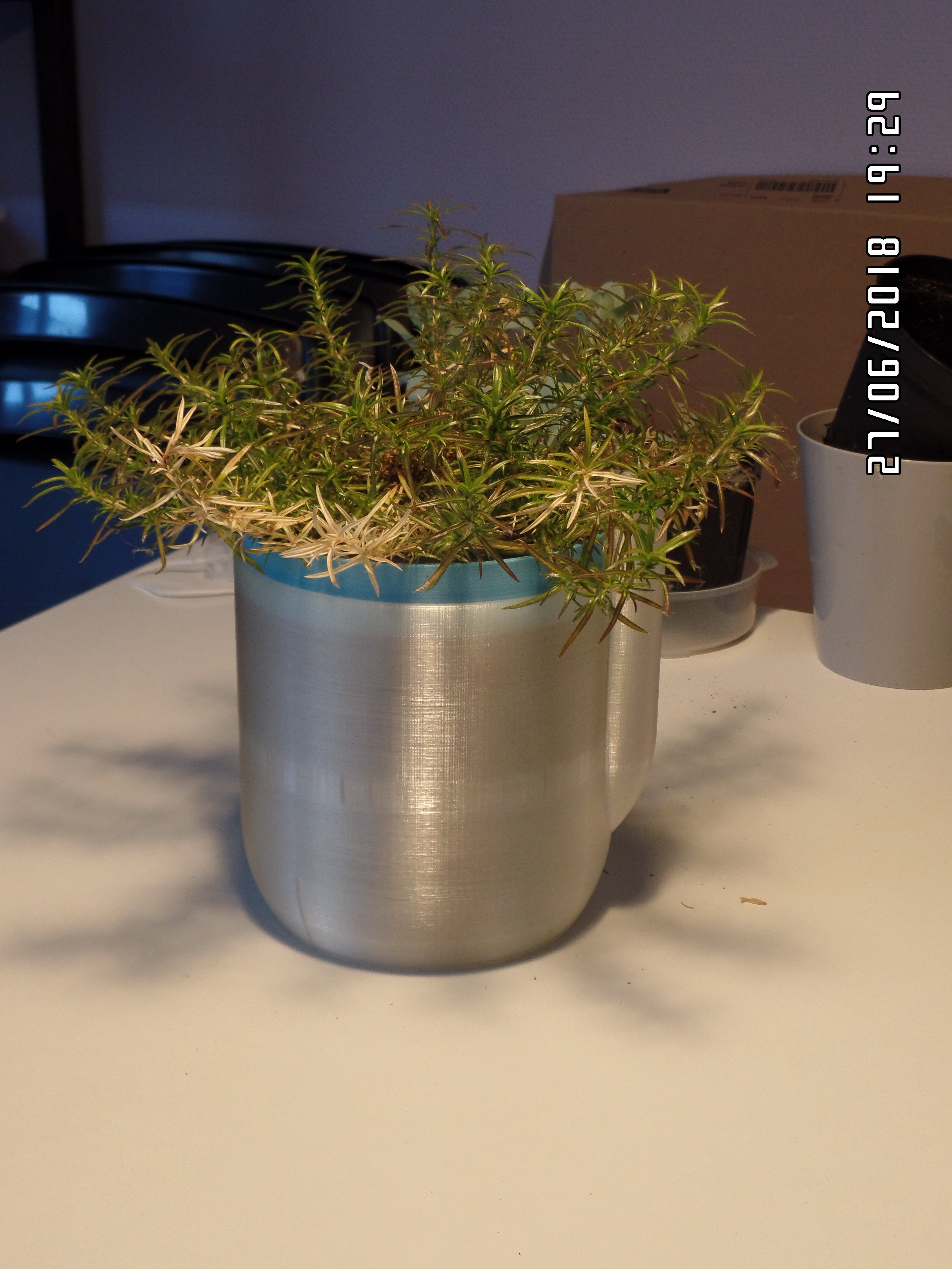 Self-Watering Flowerpot Large Remake