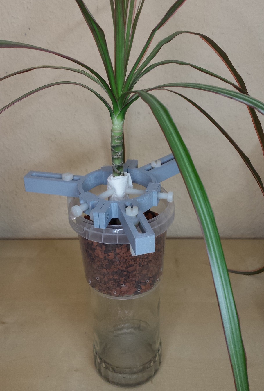 Baby plant stabilizer biger Version / Stabilisierer für Jungpflanzen größere Ausführung