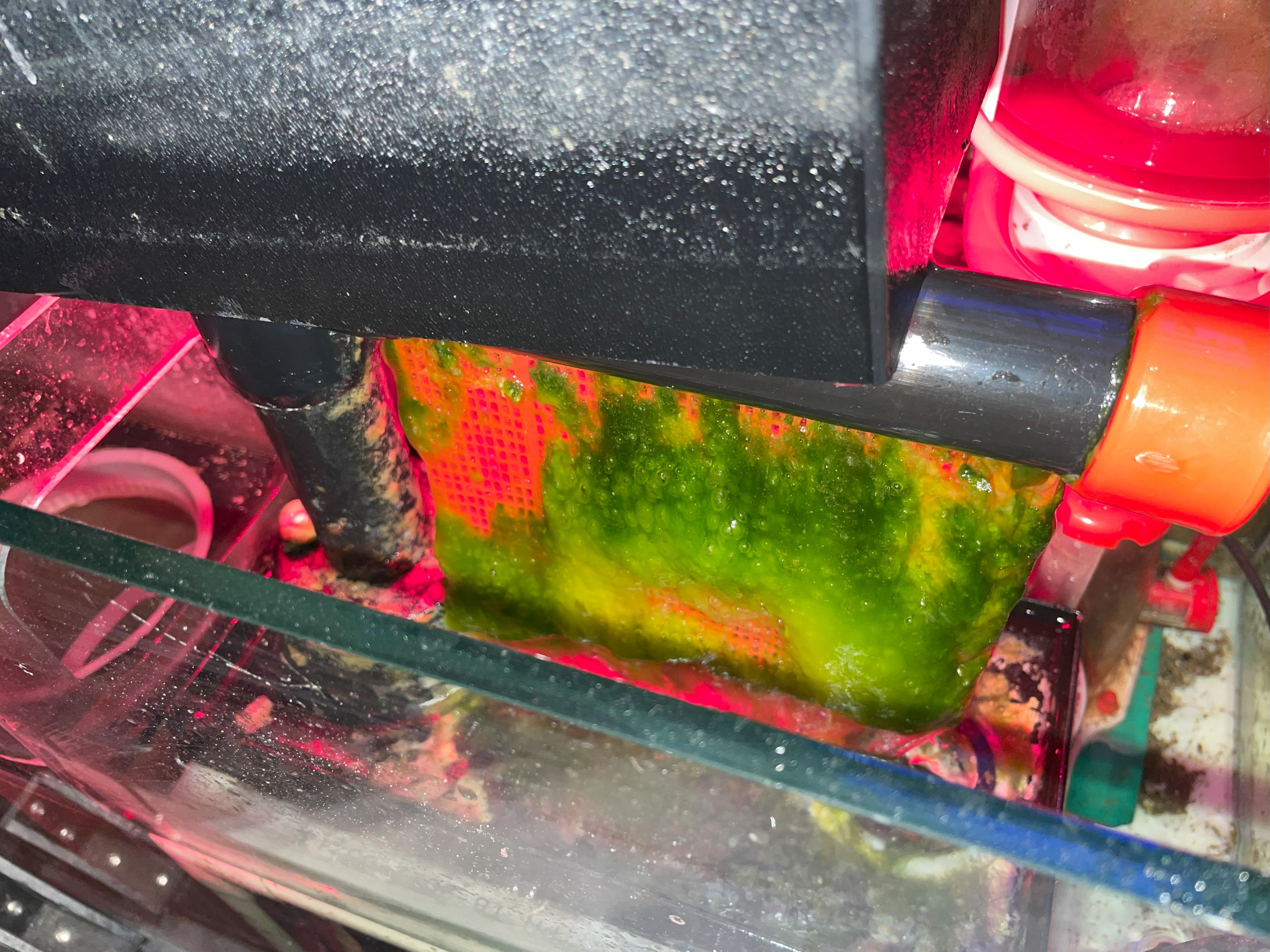 Algae Turf Scrubber Screen