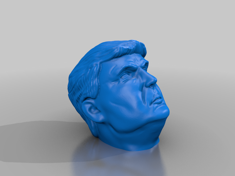 Trump Head 1