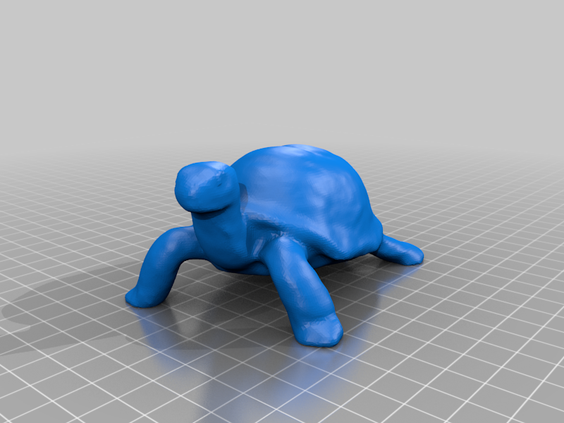 Little Turtle