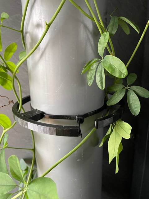 Plant Trellis