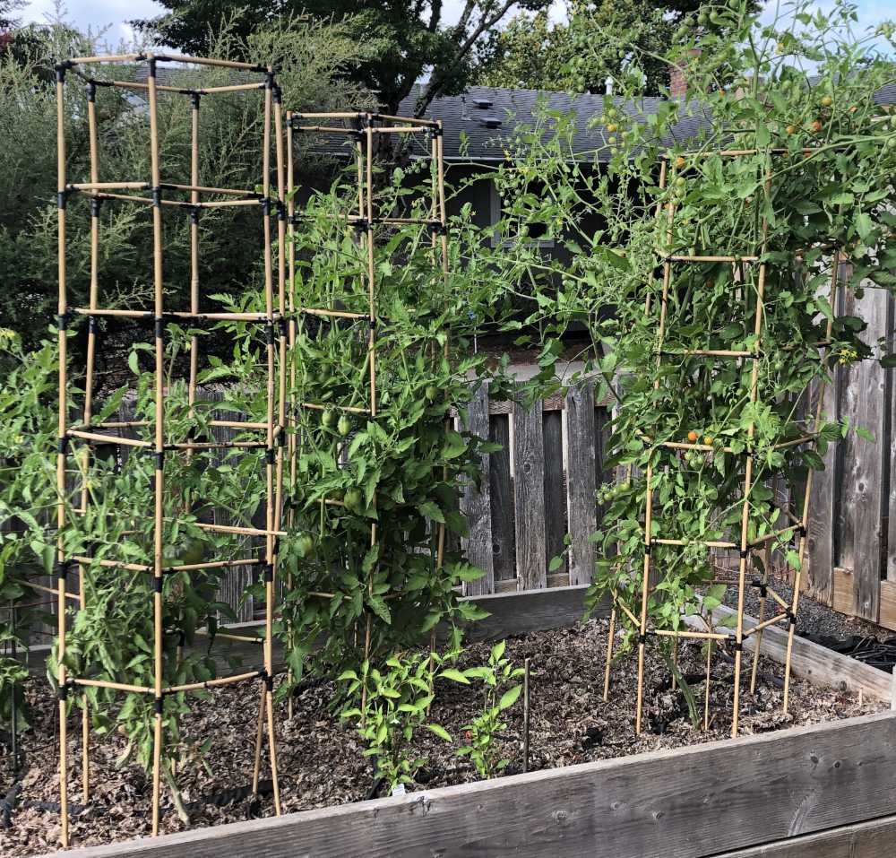 Parametric Bamboo Trellis Joint
