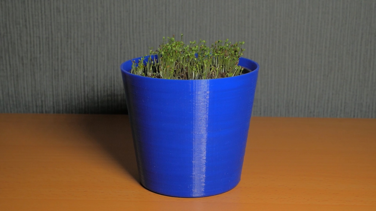 Cache-pot