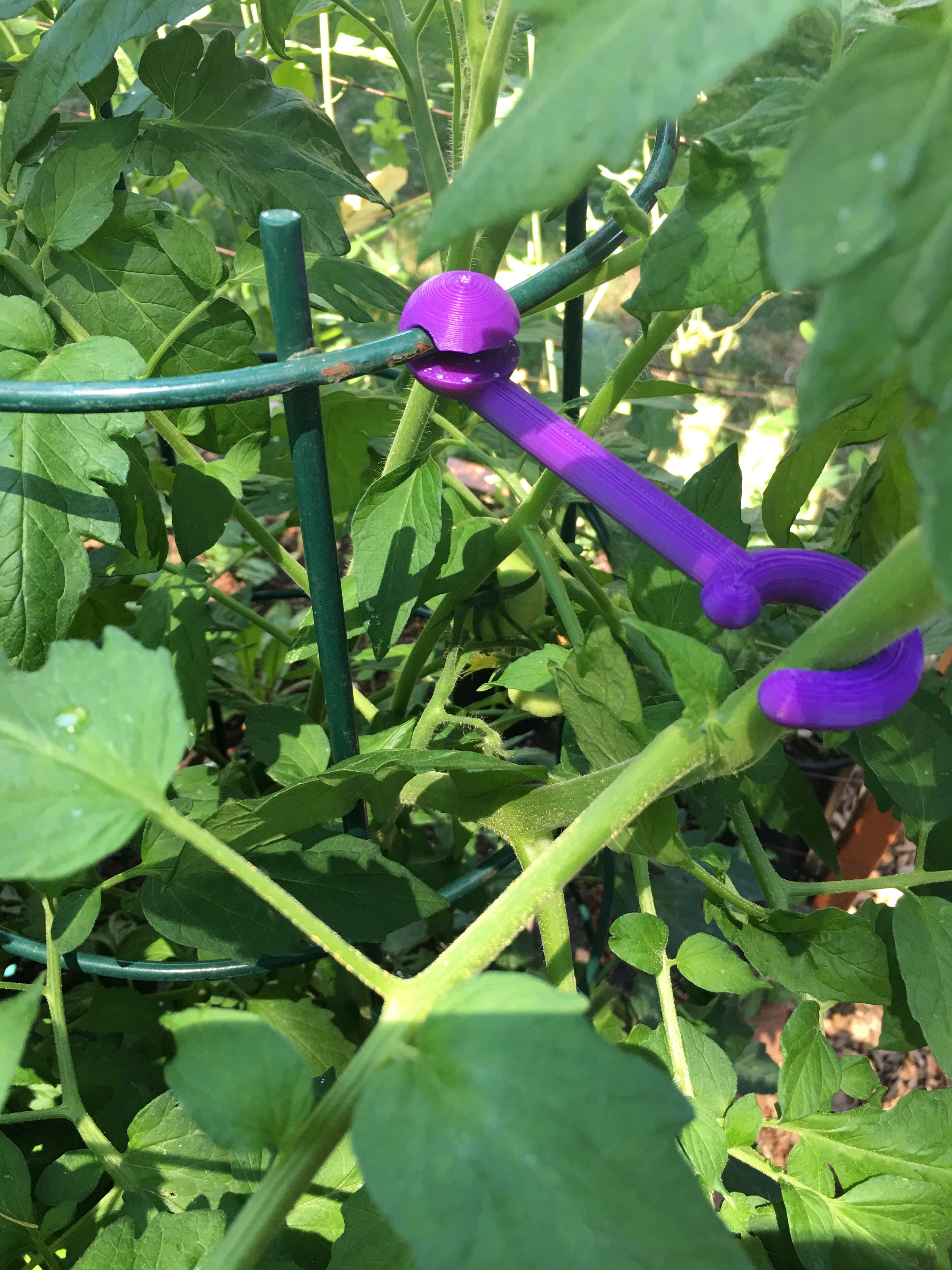 Plant Branch Support
