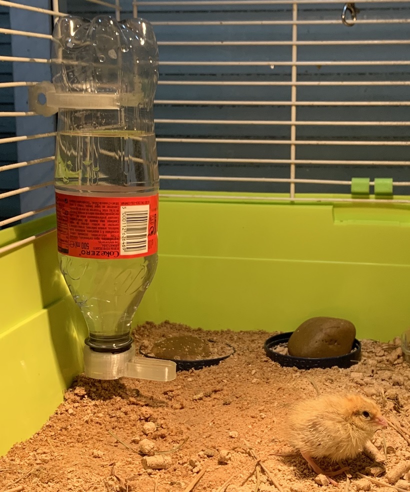 Pet water dispenser (bottle cap)