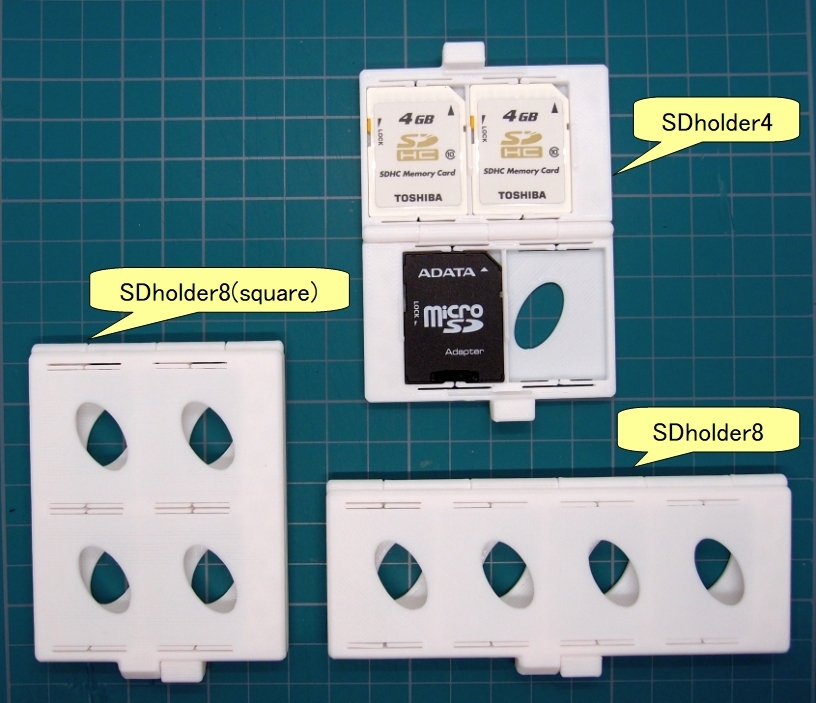Compact SD Card Case