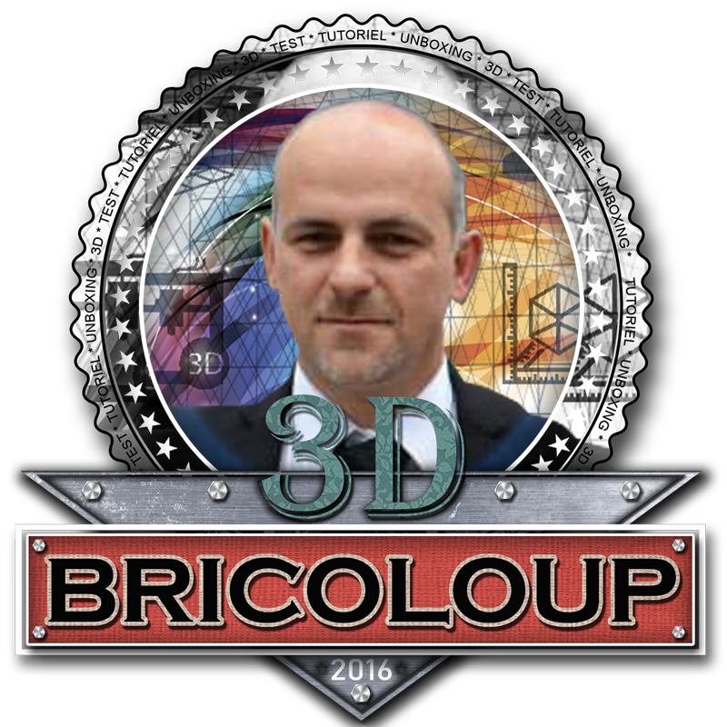 Bricoloup