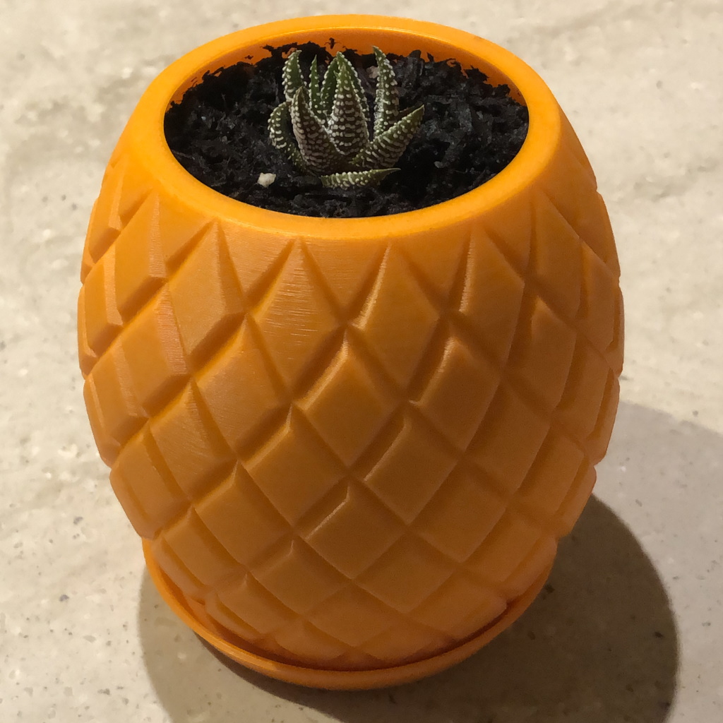 Another Pineapple Pot with Drainage Holes and Tray
