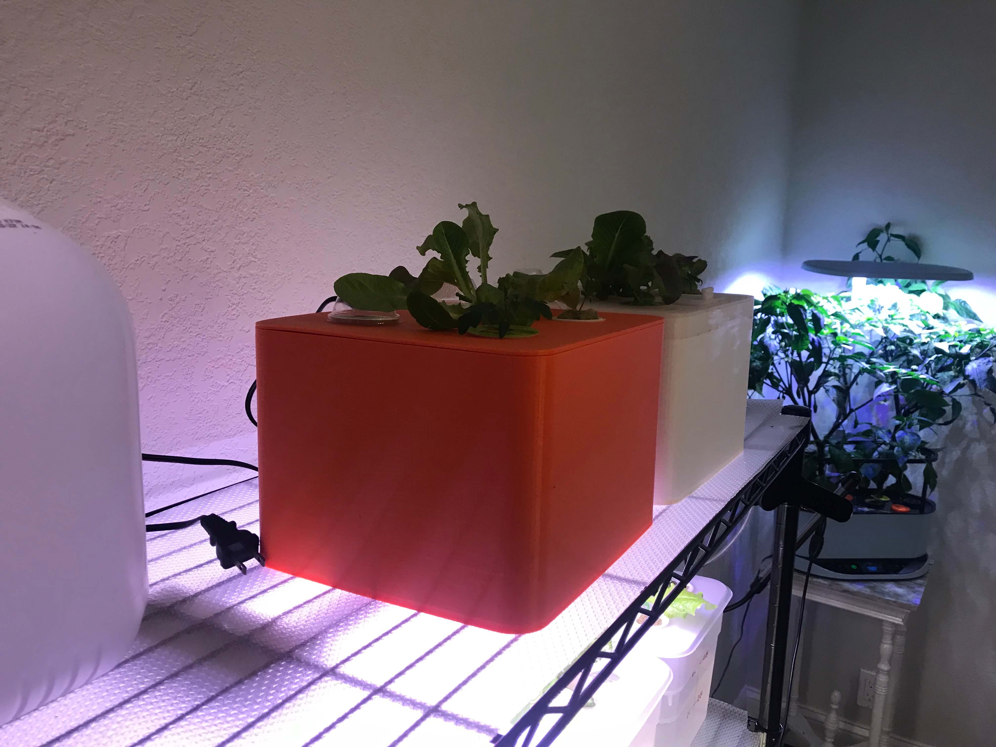 Ultimate Desktop Hydroponic Garden