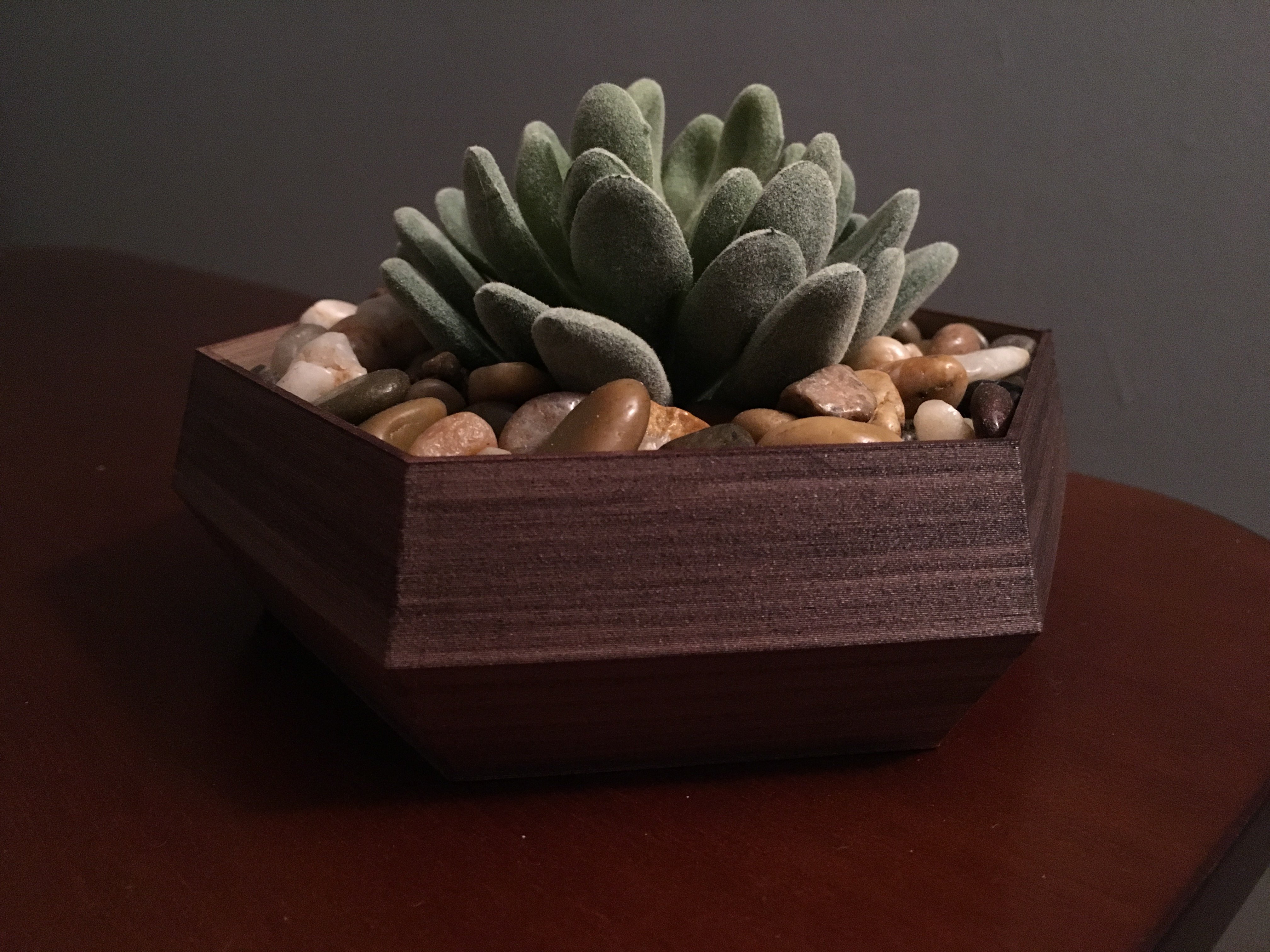 Hexagonal Succulent Planter