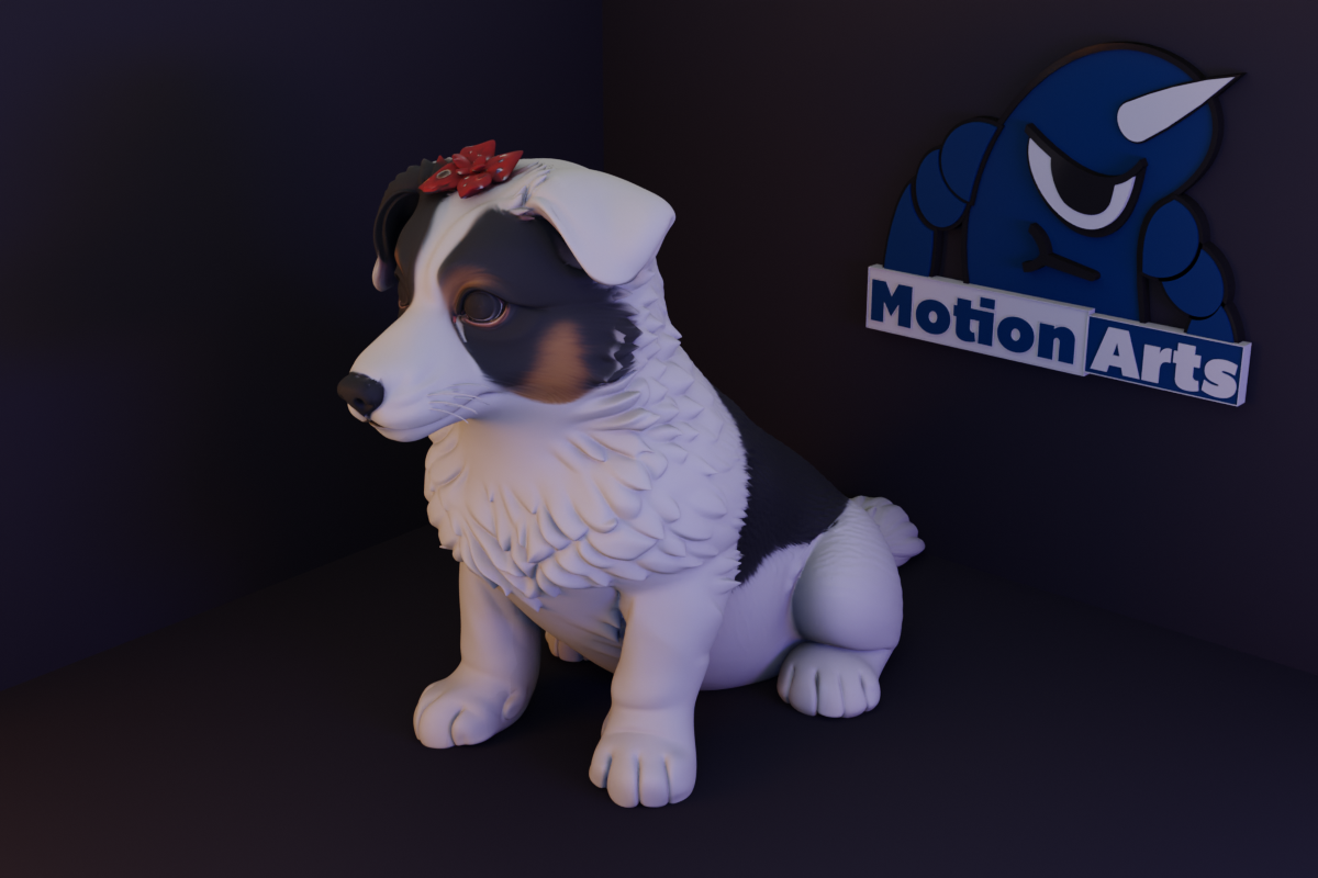 Cãozinho Fofinho com Laço Border Collie