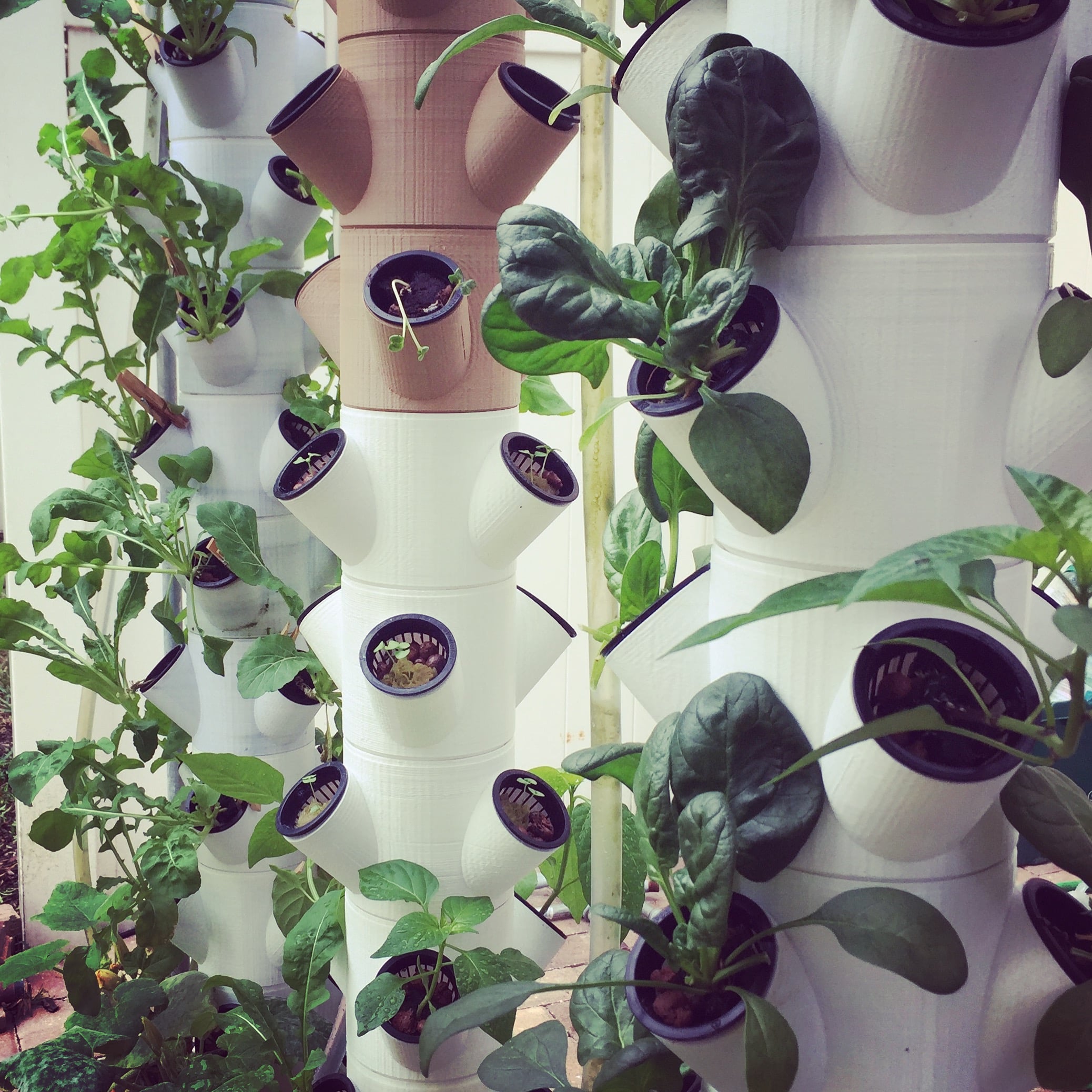 Modular Hydroponic System