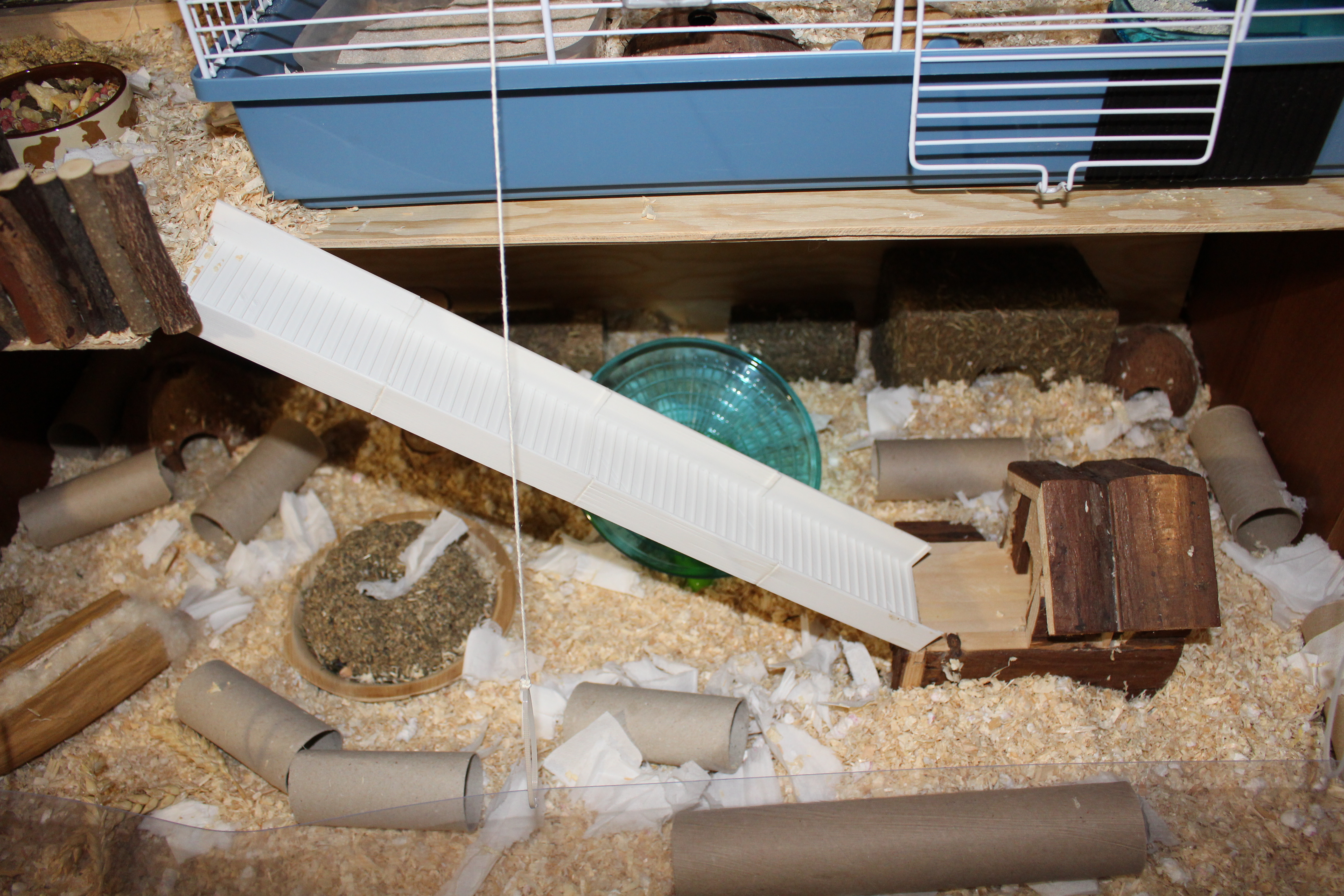 Hamster ladder with variable length