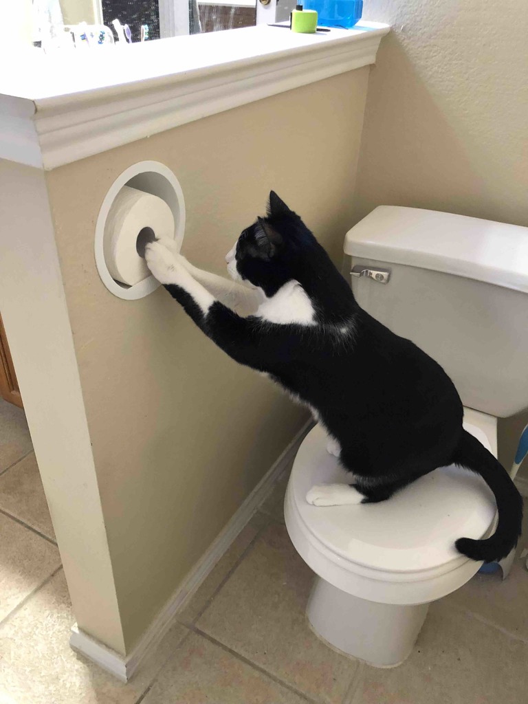 Cat-Resistant Recessed Toilet Paper Holder
