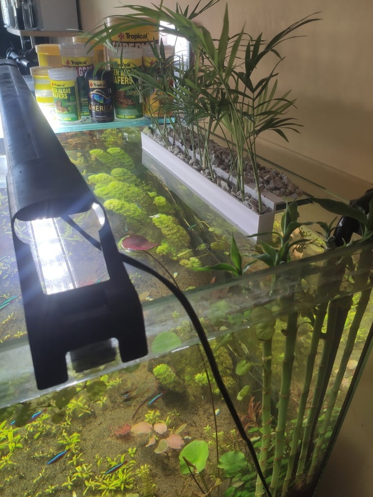 Aquarium plants holder