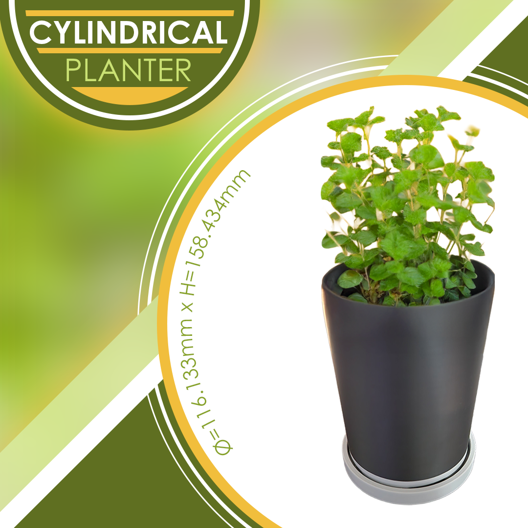 Cylindrical Planter