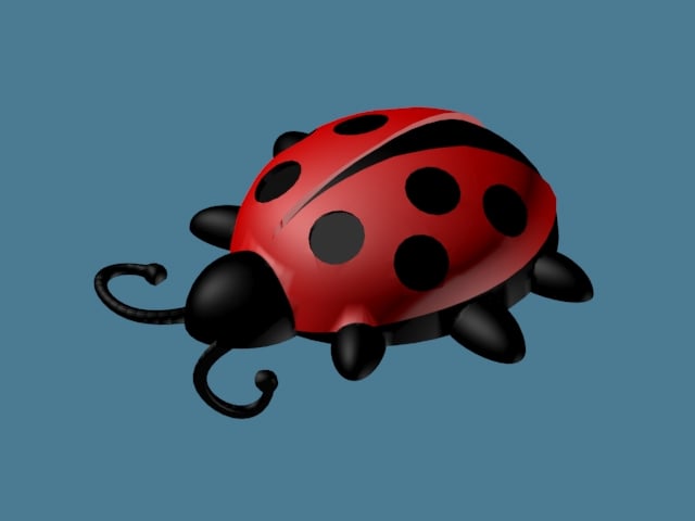 Ladybug