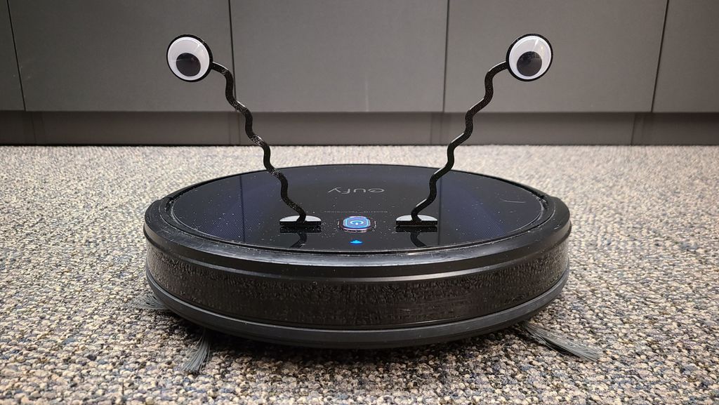 Robot Vacuum Eyes