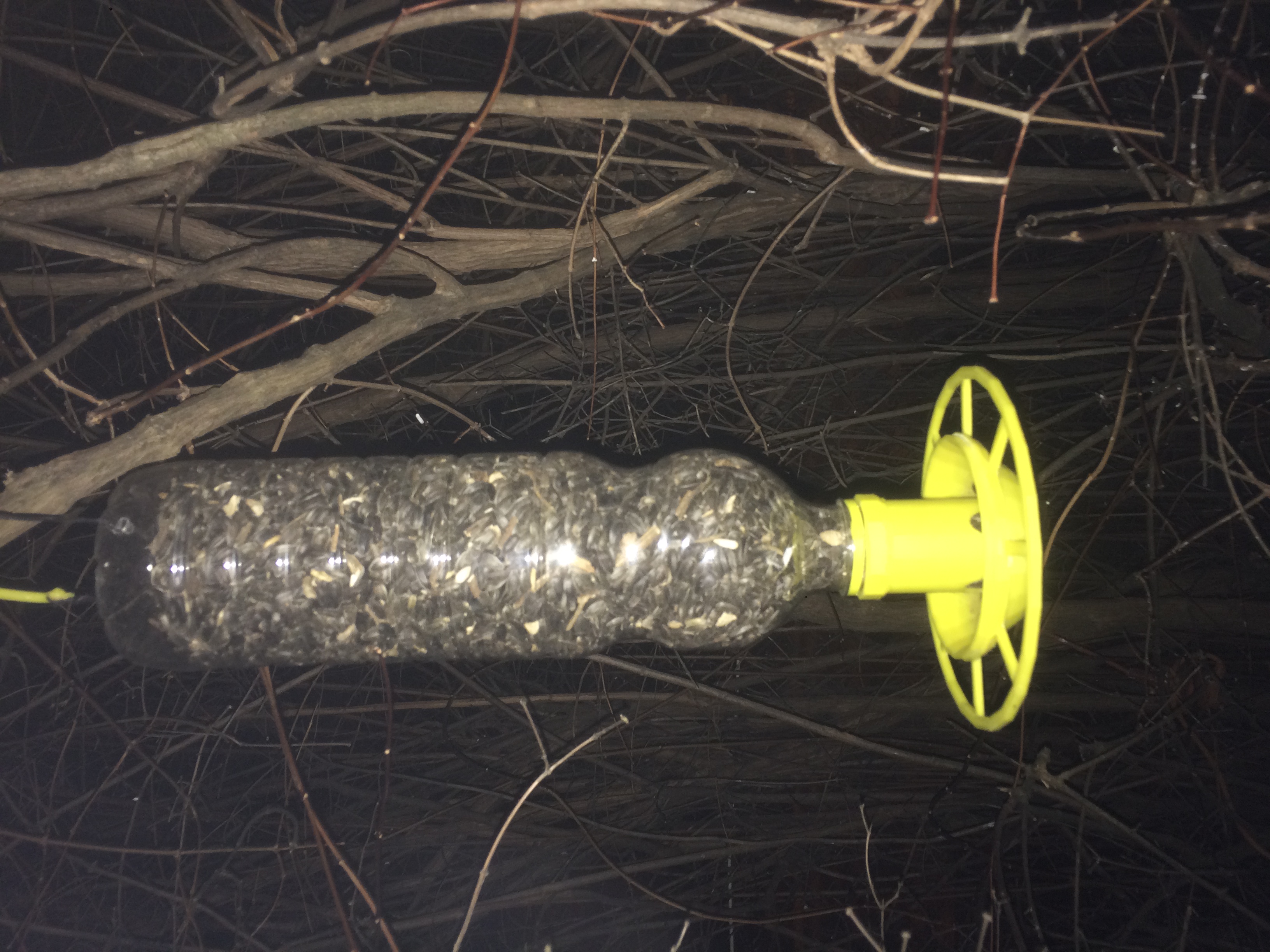 Bird feeder for large bottle