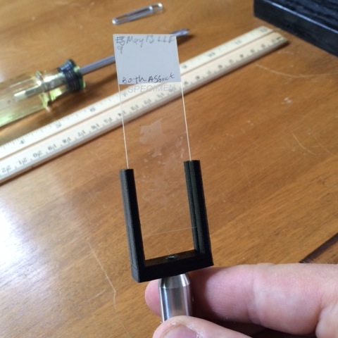 Microscope slide holder