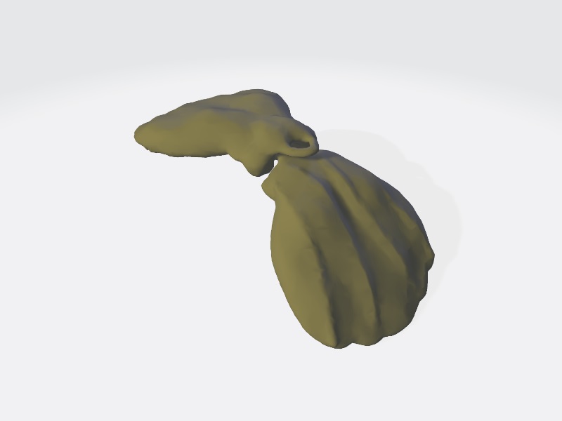 Sea Shell Keychain