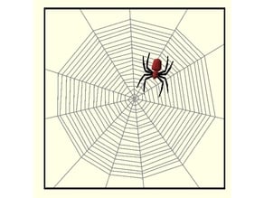 parametric cobweb and spider