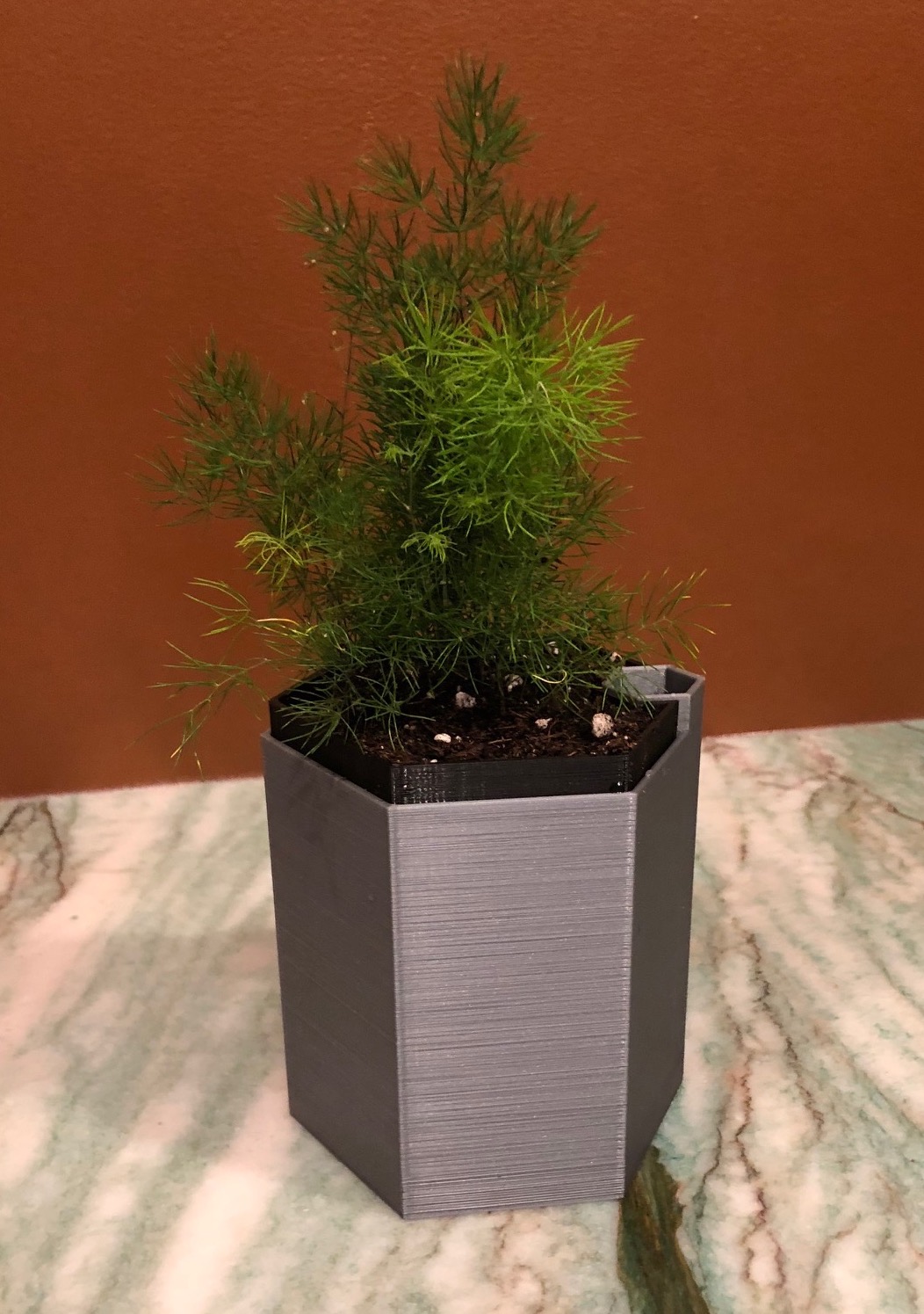 Self-Watering Planter
