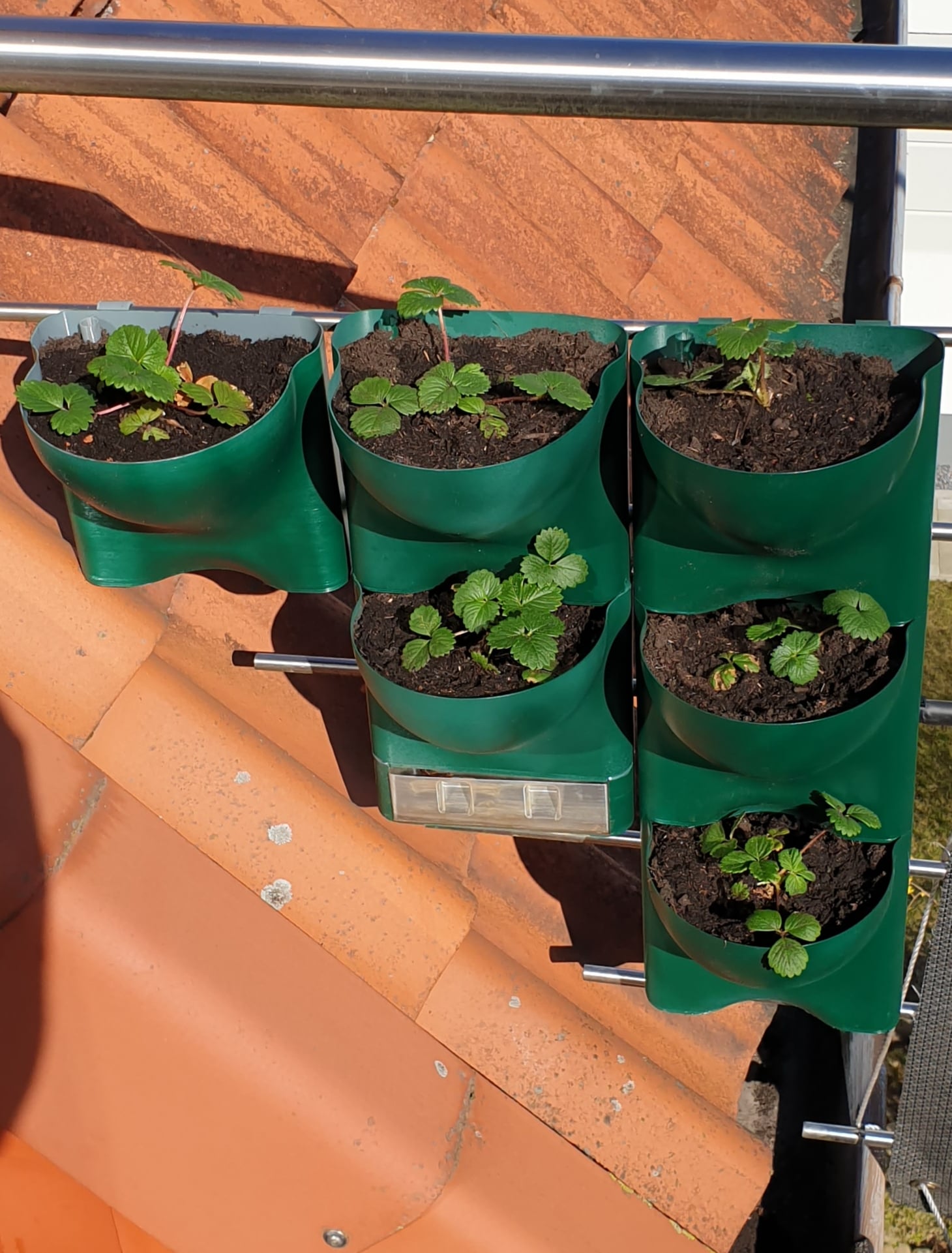 Vertical Planter Vase