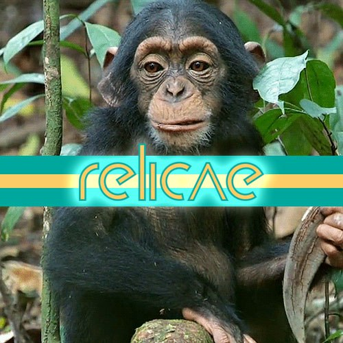 relicae
