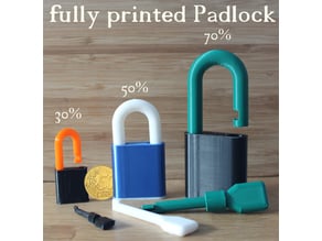 simple padlock (100% printed)